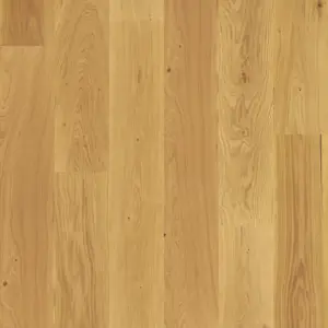 Corelan Design-Korkboden HDF - Catalina Eiche Korkboden zum Klicken