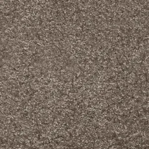 Dorado, Gaia - 40 5-Meter Breit Teppichboden