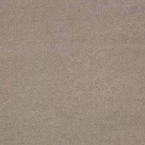 Sentiment, Sensualite - 40 5-Meter Breit Teppichboden