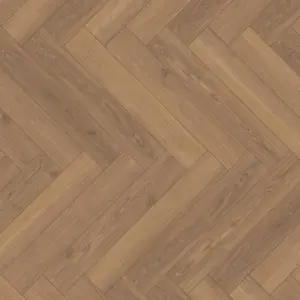 Trendtime 3 - Eiche Studioline honig