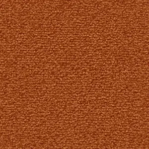 Fascination, Lyrica - 2F34 5-Meter Breit Teppichboden