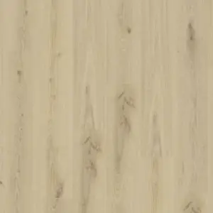 Essence 55 - Primary Oak Beige zum Kleben