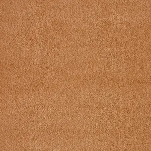 Seduction, Sensualite - 80 5-Meter Breit Teppichboden