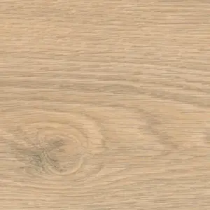 Tritty 100 Gran Via, Tritty 100 Gran Via 4V Silent Pro - Eiche Flavia puro