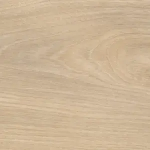 Tritty 200 AQUA, Tritty 200 AQUA Gran Via 4V - Silberahorn Vario