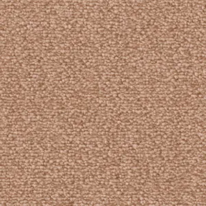 Fascination, Lyrica - 1P94 4-Meter Breit Teppichboden