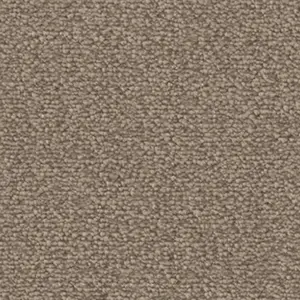 Fascination, Lyrica - 8L32 5-Meter Breit Teppichboden