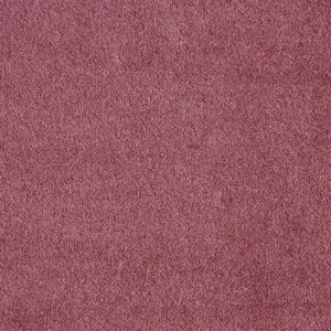 Seduction, Sensualite - 67 5-Meter Breit Teppichboden