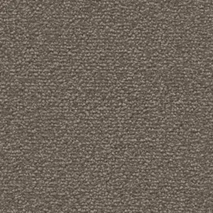 Fascination, Lyrica - 5X81 4-Meter Breit Teppichboden