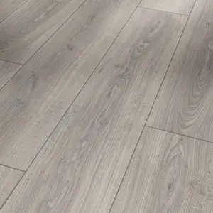 Trendtime 6 - Eiche Studioline lichtgrau