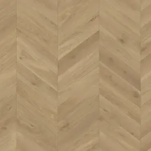 Trendtime 8 - Eiche Loire honig