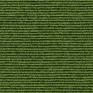 Ever - 569 - Moos 2-Meter Breit Teppichboden