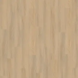 Wineo Vinyl-Design Esche natürlich Vinylboden zum Kleben DB400290