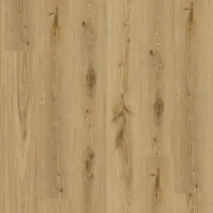 Essence Rigid 30 - Primary Oak-Natural 120 zum Klicken