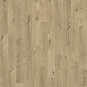 Dry Back 0,55 - Coconino zum Kleben