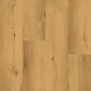 Cortica Design-Korkboden HDF - Eiche Tessin Korkboden zum Klicken