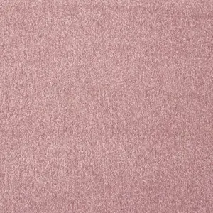 Satisfaction, Sensualite - 16 5-Meter Breit Teppichboden