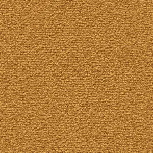 Fascination, Lyrica - 2F33 5-Meter Breit Teppichboden