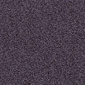 Fascination, Lyrica - 3S15 5-Meter Breit Teppichboden